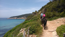 Spain-Mallorca/Menorca-Menorca Getaway on Horseback